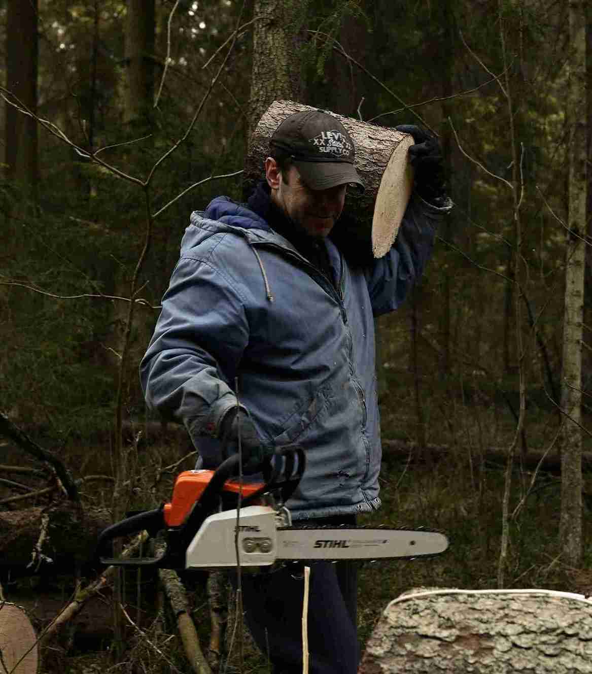tree care specialist