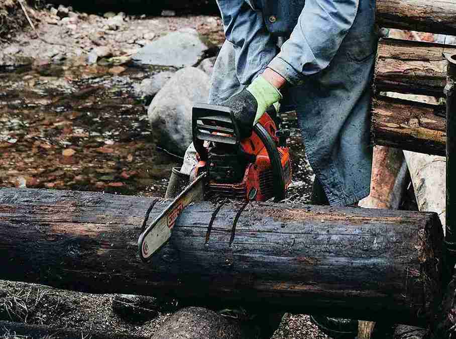 tree cutting