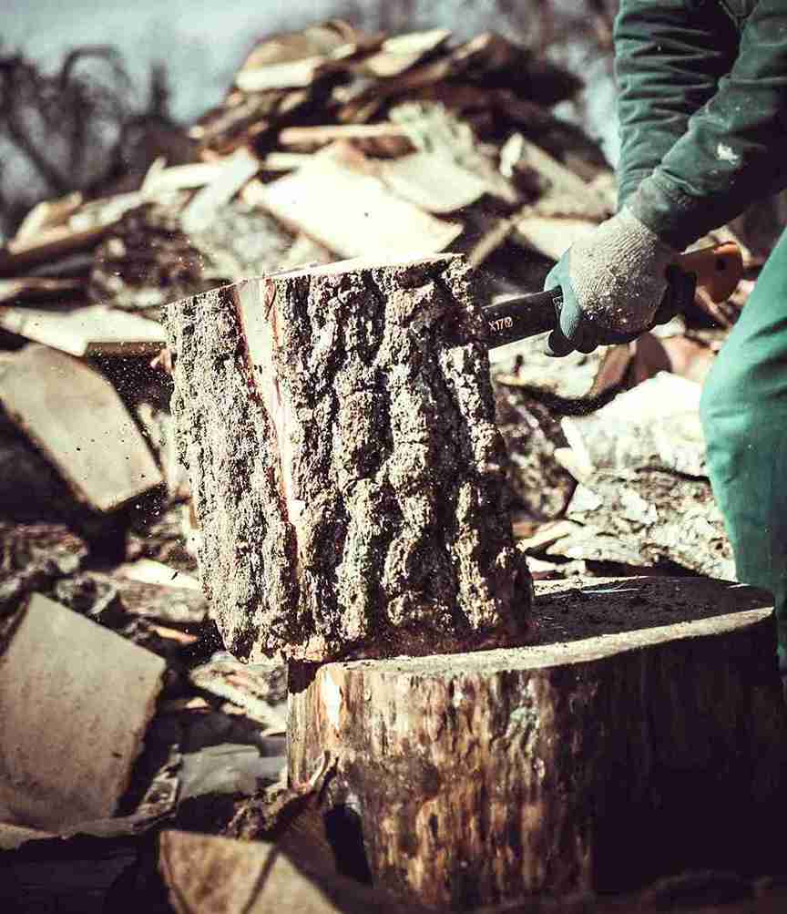 tree removal estimate