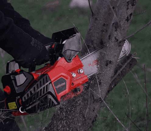 tree service windsor