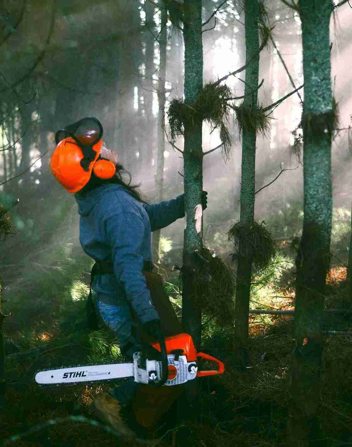tree services company