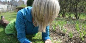 Preparing for Sowing 