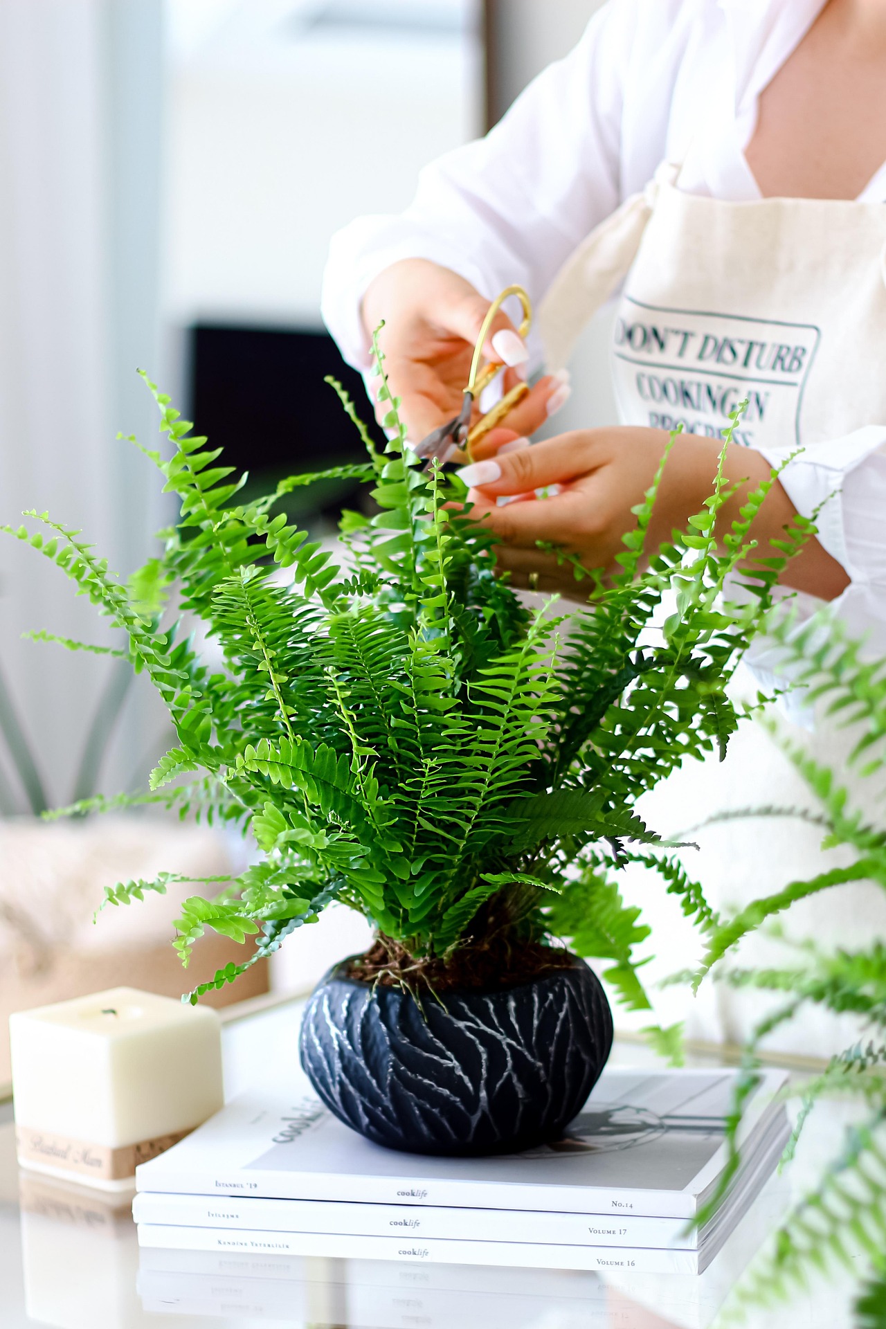 Tree trimming and pruning services in Johnstown CO